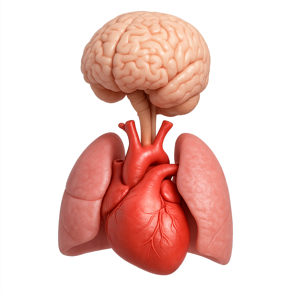 Paediatrics & Neonatology